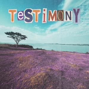 TESTIMONY (feat. IZAYA & Carrii)