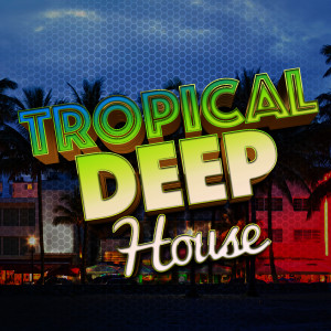ดาวน์โหลดและฟังเพลง House Chill พร้อมเนื้อเพลงจาก Tropical Deep House