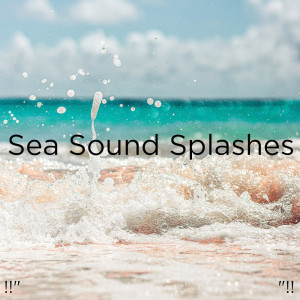 Dengarkan Ocean Sounds lagu dari Ocean Sounds dengan lirik