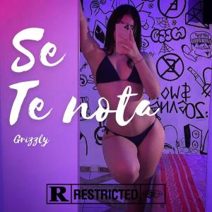 Listen to Se te nota song with lyrics from Grizzly Oficial