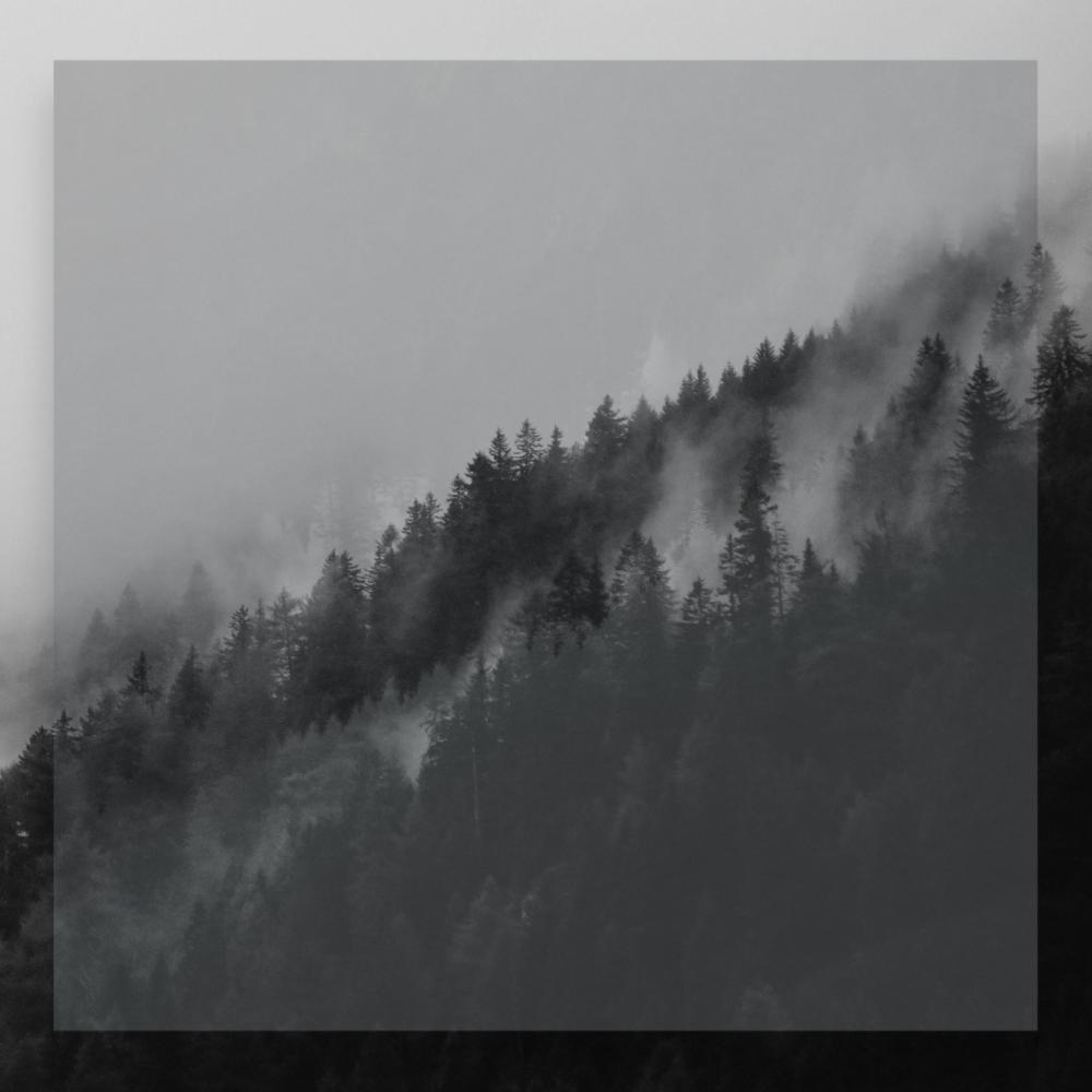 See Upon