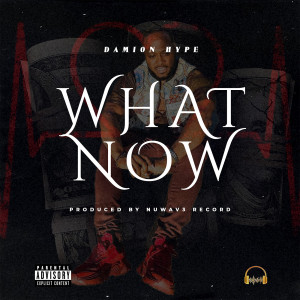 Listen to What Now (Explicit) song with lyrics from Damion hype
