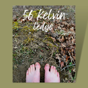 Listen to Ledge (Explicit) song with lyrics from 56 Kelvin