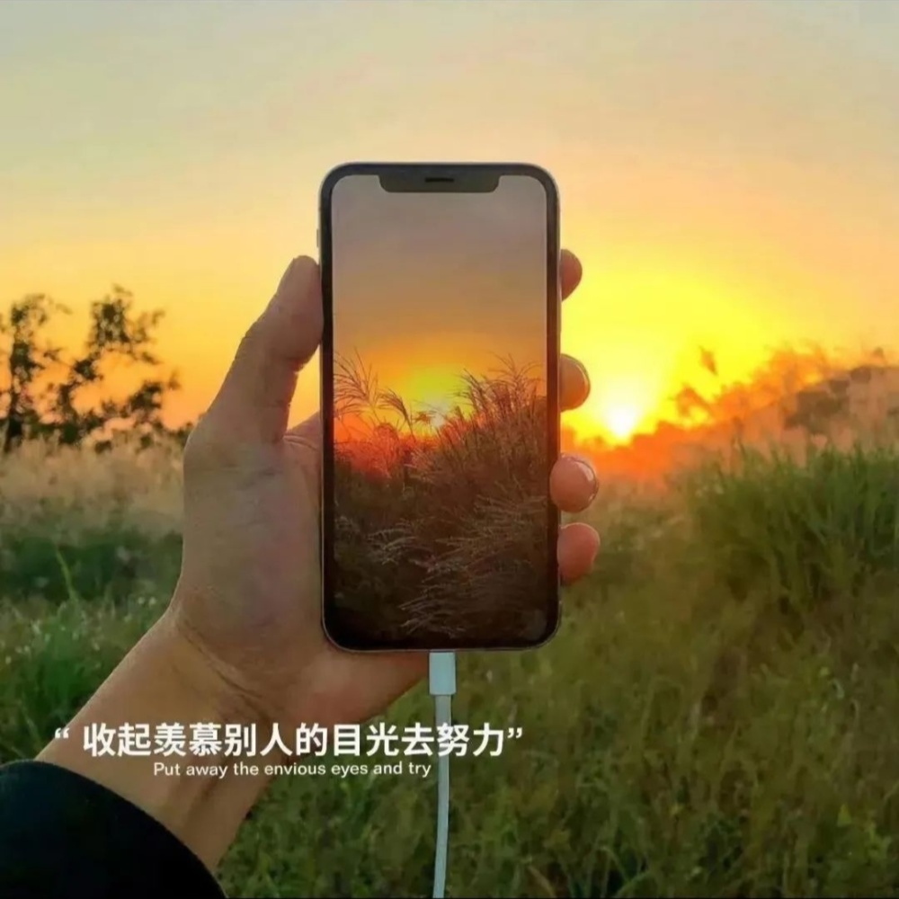 直到有一天我们都老了 (抖音热播版)