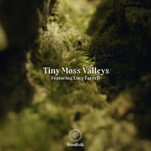 อัลบัม Tiny Moss Valleys ศิลปิน Lucy Farrell