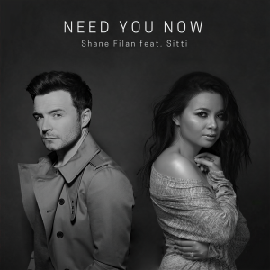 ดาวน์โหลดและฟังเพลง Need You Now พร้อมเนื้อเพลงจาก Shane Filan