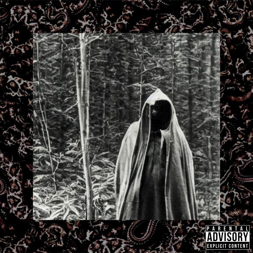 THE SERPENT STOLE MY SOUL (feat. Killhollow & LEAVESANE) (Explicit)