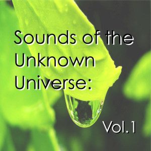 ดาวน์โหลดและฟังเพลง Refined Silence พร้อมเนื้อเพลงจาก Soft Experience