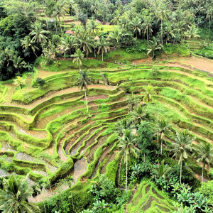 Dengarkan lagu Lazy Days nyanyian Zen Music Garden dengan lirik