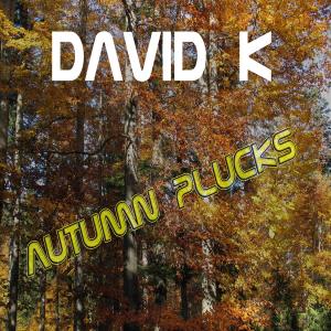 Listen to David K - Autumn Plucks song with lyrics from David K