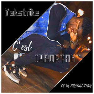 ดาวน์โหลดและฟังเพลง Important พร้อมเนื้อเพลงจาก Yakstrike