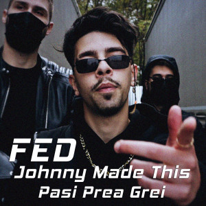 Listen to Pasi Prea Grei song with lyrics from FED
