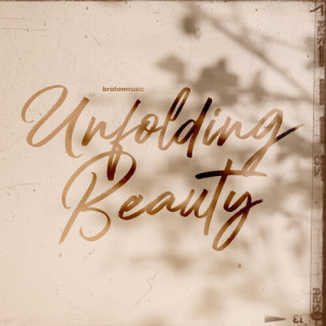 Listen to Into the Wonderful song with lyrics from Stephen Tait