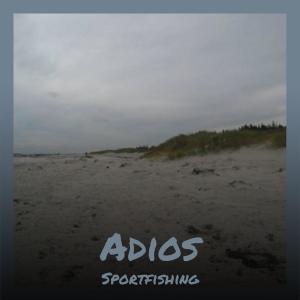 Album Adios Sportfishing from Shiann Sted