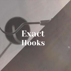 收聽Letisia的Exact Hooks歌詞歌曲