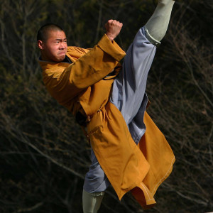 Listen to Shaolin (Explicit) song with lyrics from Livid of the shaolin