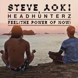 收聽Steve Aoki的Feel (The Power Of Now)歌詞歌曲