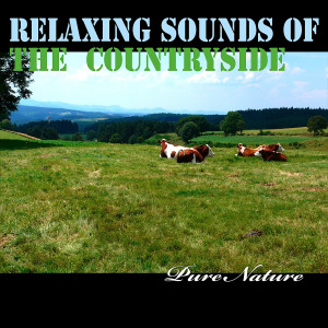 Album Relaxing Sounds of the Countryside from 