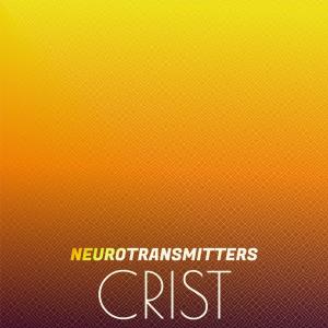 ดาวน์โหลดและฟังเพลง Oneirocritical Mistress พร้อมเนื้อเพลงจาก Braco Claver