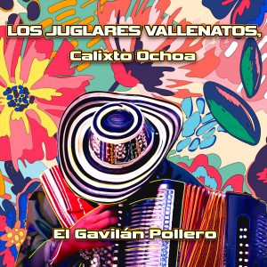 Calixto Ochoa的專輯El Gavilán Pollero