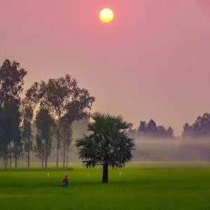 Listen to Soothing Relaxation Music song with lyrics from NYong Niode