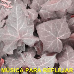 Califa的專輯Música Para Reflejar