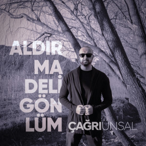 Listen to Aldırma Deli Gönlüm song with lyrics from Çağrı Ünsal