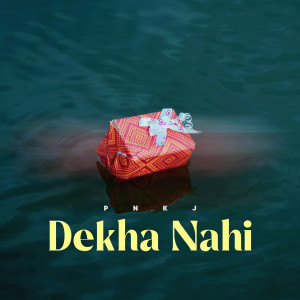 Album Dekha Nahi from PNKJ
