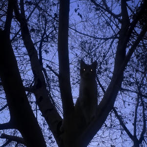 收聽HB7sevmarafack的Tghal9o bibani歌詞歌曲