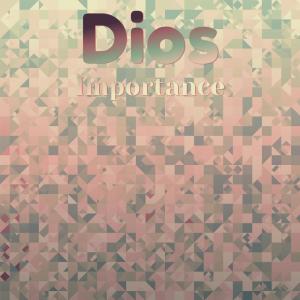 Listen to Dios Importance song with lyrics from Dilson Alle