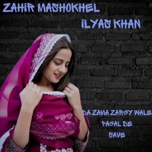 Listen to Da Zama Zargy Wale Pagal De song with lyrics from Zahir Mashokhel