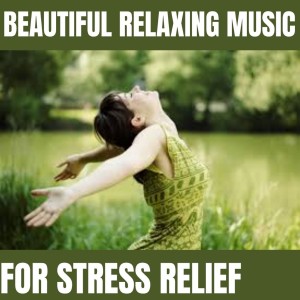 收听Calming Music的Relaxed Mind歌词歌曲