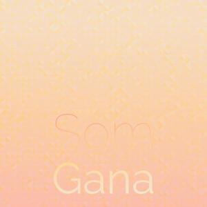 Various Artists的專輯Som Gana