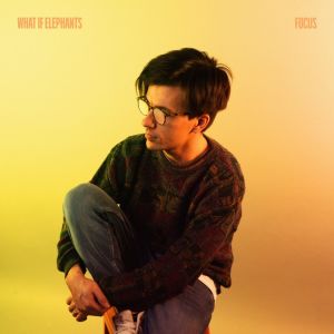 Album Focus from 