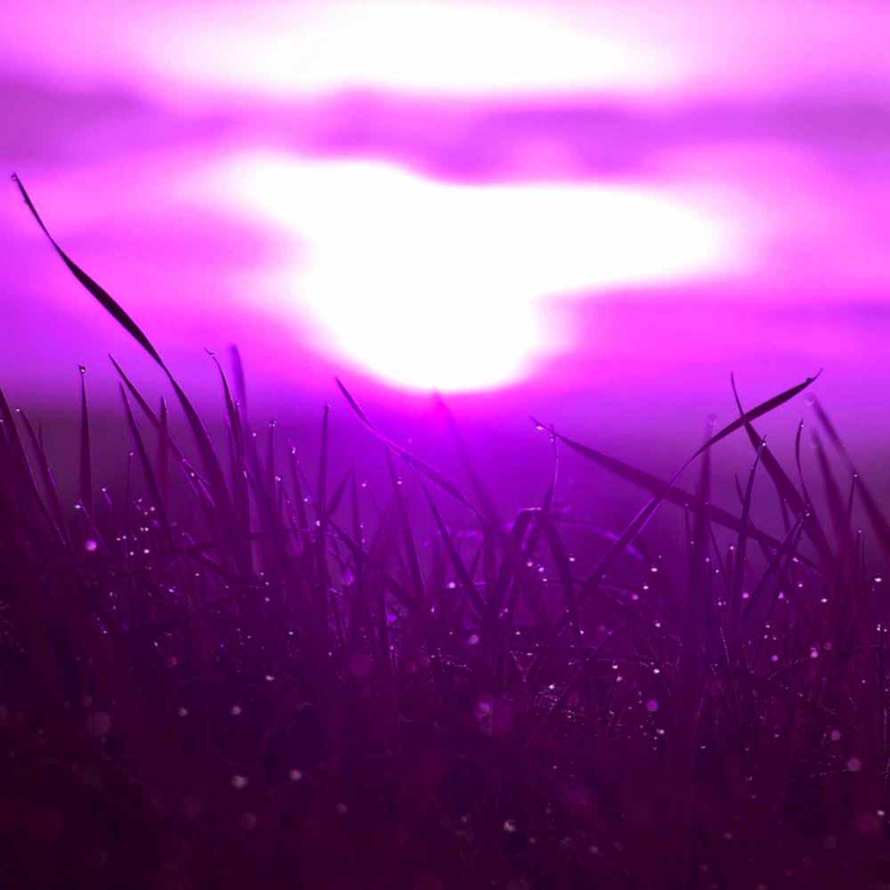 Funky Ambiance for Peaceful and Calm