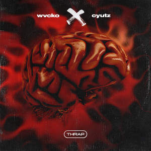 Album X from wvcko
