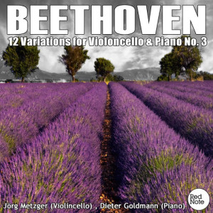อัลบัม Beethoven: 12 Variations for Cello & Piano No. 3, Op.66 ศิลปิน Jorg Metzger