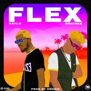收听Kaylu的Flex(feat. Brainee) (Explicit)歌词歌曲