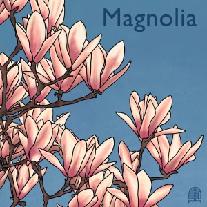 Daoud的专辑Magnolia