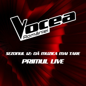 收聽Giulia Tabără的Nothing Compares 2 U (Live)歌詞歌曲