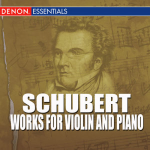 ดาวน์โหลดและฟังเพลง Sonatina In D Major Op. 137 No. 1, D 384 - Allegro Vivace พร้อมเนื้อเพลงจาก Anneliese Nissen