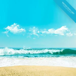 Album Pleasant Sound Of Waves And New Age Piano Collection (Nature Ver.) from Various Artists
