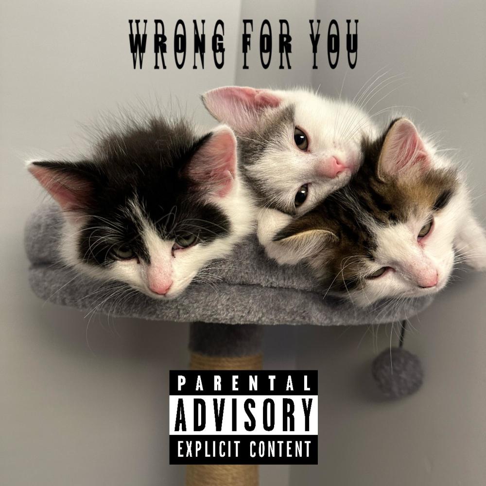 Wrong for you (feat. Slashy, Epitomeoffailure & The Sound Clown)