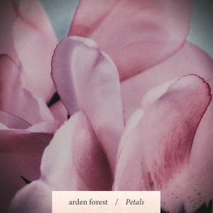 Dengarkan lagu Petals nyanyian Arden Forest dengan lirik
