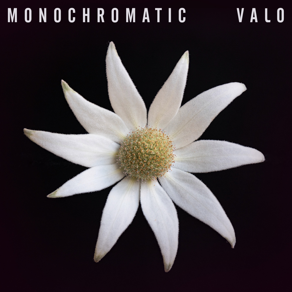 Monochromatic (Radio Edit)