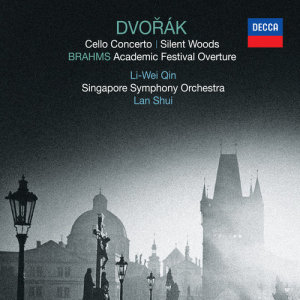 ดาวน์โหลดและฟังเพลง Dvorák: Silent Woods, Op. 68/5 (Live In Singapore / 2012) พร้อมเนื้อเพลงจาก 秦立巍