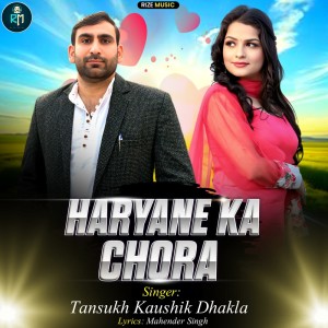Album Haryane Ka Chora from 