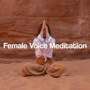 ดาวน์โหลดและฟังเพลง Nighttime Voice Sound พร้อมเนื้อเพลงจาก Mind Medicine