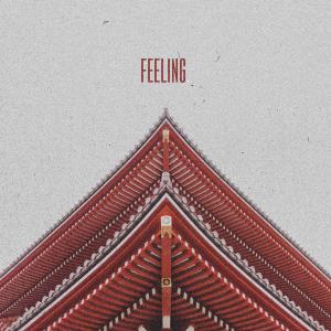 Album FEELING oleh Berkay Şükür