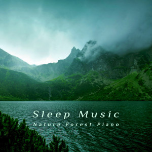 Album 睡眠音乐‧自然森林钢琴曲 from 贵族音乐古典
